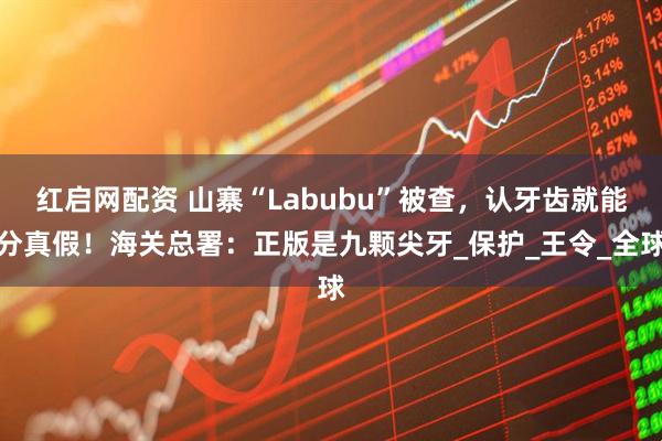 红启网配资 山寨“Labubu”被查，认牙齿就能分真假！海关总署：正版是九颗尖牙_保护_王令_全球